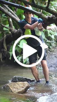 BIB:  <button type="button" onclick="openModal(27824433)" class="btn btn-primary btn-sm float-right" data-toggle="modal" data-target=".modal-high-quality">
                <i class="fa fa-download"></i> Download
                </button>